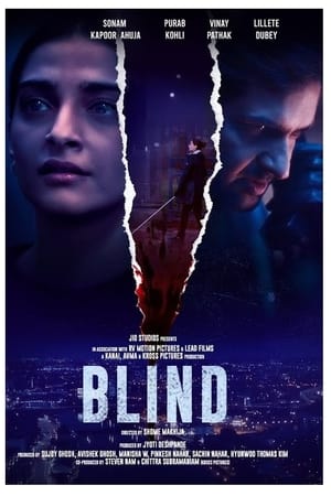 Blind 2023 Hindi HDRip | 480p