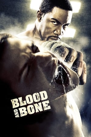 Blood and Bone (2009) Hindi Dual Audio BluRay 300MB