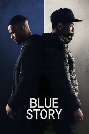 Blue Story (2019) Hindi Dual Audio HDRip – 480p