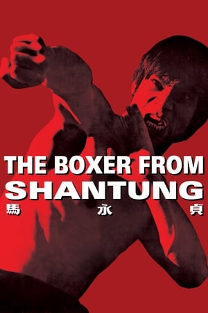 Boxer from Shantung (1972) Hindi Dual Audio BluRay [1.2GB]