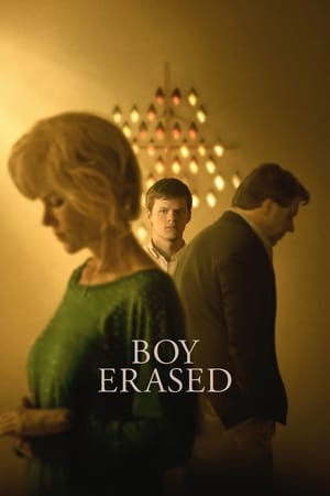 Boy Erased (2018) Hindi Dual Audio BluRay [900MB]