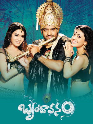 Brindavanam (The Super Khiladi) (2010) (Hindi – Telugu) Dual Audio UnCut HDRip [1.4GB]