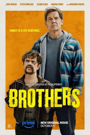 Brothers 2024 Hindi Dual Audio HDRip – 720p – 480p