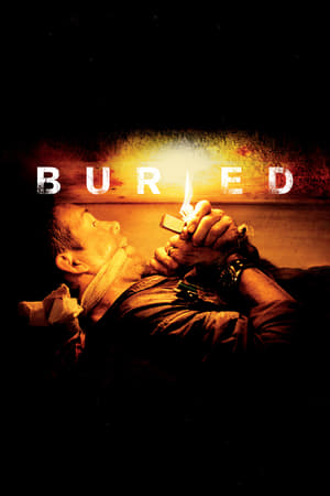 Buried (2010) Hindi Dual Audio BluRay [1GB]