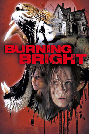 Burning Bright (2010) Hindi Dual Audio BluRay 300MB