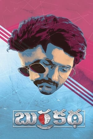 Burrakatha 2019 Hindi Dubbed HDRip 300MB