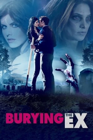 Burying the Ex 2014 Hindi (HQ Dubbed) HDRip [830MB]