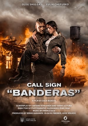 Call Sign Banderas (2018) Hindi Dual Audio HDRip – 480p