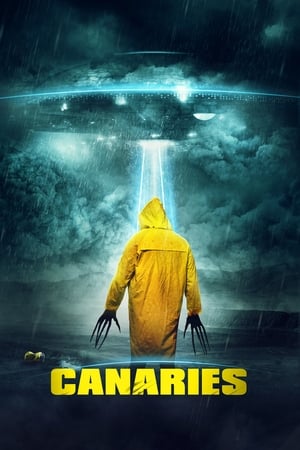 Canaries (2017) Hindi Dual Audio WebRip 300MB