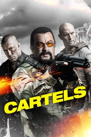 Cartels 2017 Hindi Dual Audio BluRay 300MB
