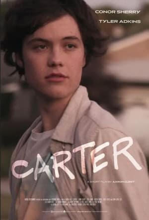 Carter (2022) Hindi Dual Audio HDRip – 480p