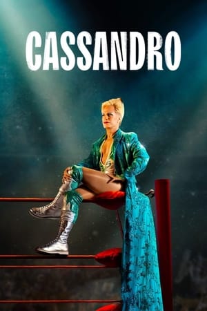 Cassandro 2023 Hindi Dual Audio HDRip – 480p