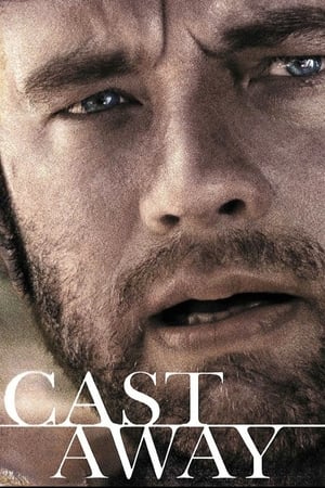 Cast Away 2000 Hindi Dual Audio BluRay [1GB] ESubs