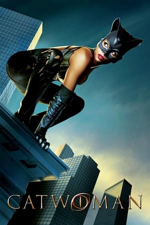 Catwoman (2004) Hindi Dual Audio BDRip [930MB]