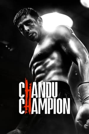 Chandu Champion 2024 Hindi HDRip – 480p – 1080p
