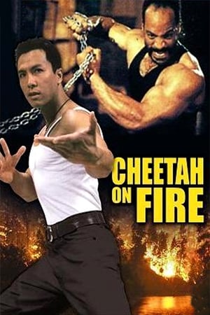 Cheetah on Fire 1992 Hindi Dual Audio Web-DL 290MB