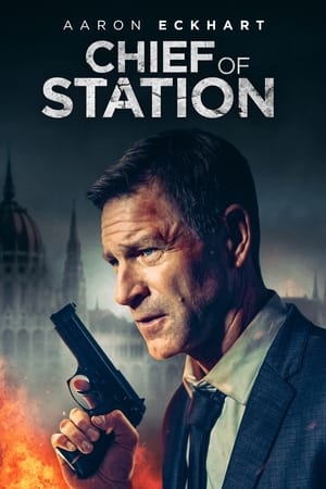 Chief of Station 2024 Hindi Dual Audio HDRip – 720p – 480p