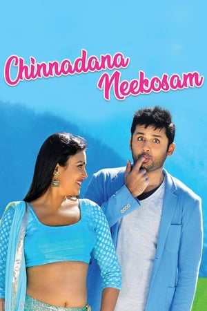 Chinnadana Nee Kosam 2014 Hindi Dual Audio BluRay 400MB