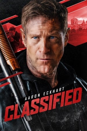 Classified 2024 Hindi Subbed WEBRip