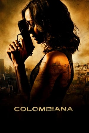Colombiana (2011) Hindi Dual Audio BluRay [1.1GB]