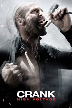 Crank: High Voltage (2009) Hindi Dual Audio BluRay [1GB]