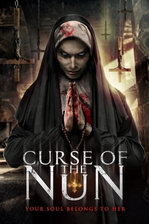 Curse of the Nun (2019) Hindi Dual Audio BluRay 260MB