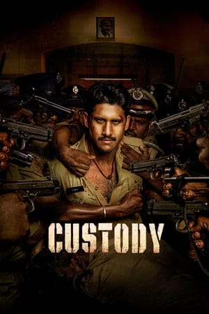 Custody 2023 Hindi (HQ-Dub) Dual Audio HDRip – 480p