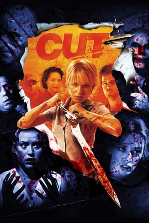 Cut (2000) Hindi Dual Audio BluRay 300MB