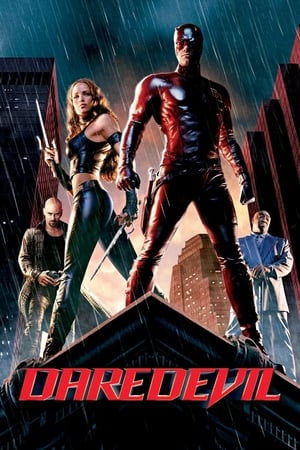 Daredevil (2003) Hindi Dual Audio BDRip [880MB]