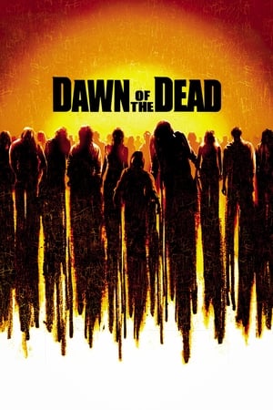 Dawn of the Dead (2004) Hindi Dual Audio BluRay 400MB