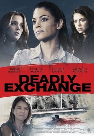 Deadly Exchange 2017 Hindi Dual Audio BluRay 300MB