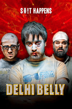 Delhi Belly 2011 Full Movie Download DVDRip [750MB]