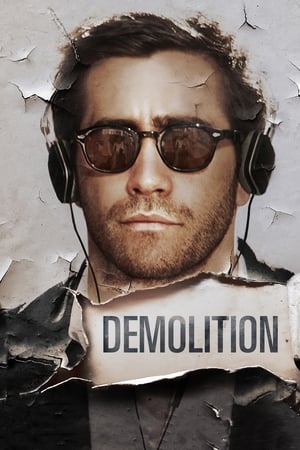 Demolition 2015 Dual Audio Hindi BluRay 300MB ESubs