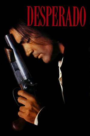 Desperado 1995 Hindi Dual Audio BluRay [870MB]