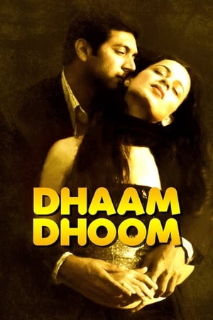 Dhaam Dhoom 2008 Dual Audio [Hindi - Tamil] UnCut HDRip [1.3GB]