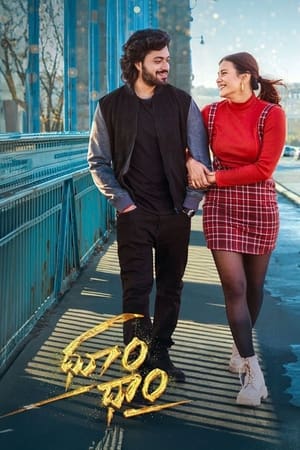 Dhoom Dhaam 2024 Telugu Dubbed CAMRip