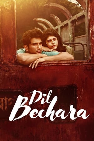 Dil Bechara (2020) Hindi Movie HDRip - [350MB]