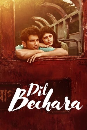 Dil Bechara 2020 Hindi Audio WEB-DL