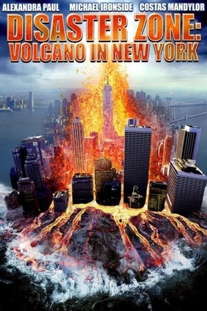 Disaster Zone Volcano in New York 2006 Hindi Dual Audio HDRip 300MB