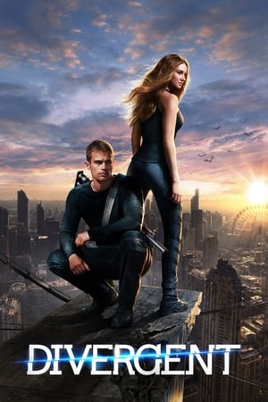 Divergent (2014) Hindi Dual Audio BluRay 450MB