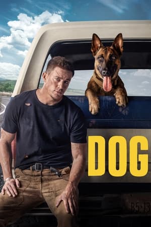 Dog (2022) Hindi Dual Audio HDRip – 480p