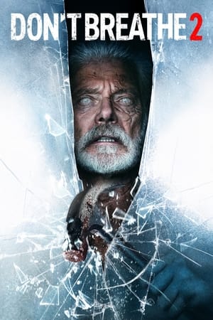 Don’t Breathe 2 (2021) Hindi Dual Audio HDRip 400MB