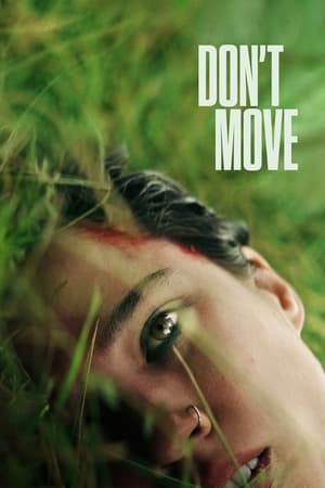 Dont Move 2024 Hindi ORG Dual Audio HDRip – 480p – 1080p