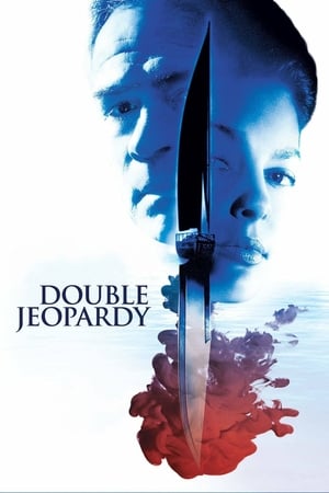 Double Jeopardy 1999 Hindi Dual Audio Web-DL 350MB
