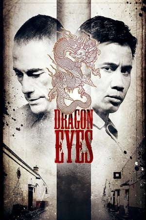 Dragon Eyes (2012) Hindi Dual Audio HDRip – 480p