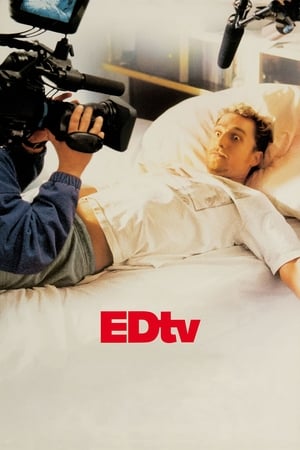 Edtv (1999) Hindi Dual Audio BluRay 350MB