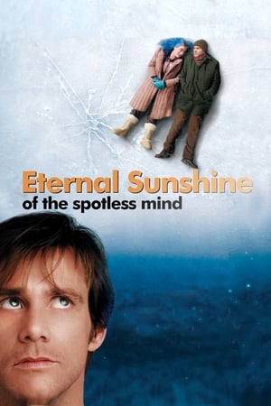 Eternal Sunshine Of The Spotless Mind 2004 Hindi Dual Audio BluRay 300MB