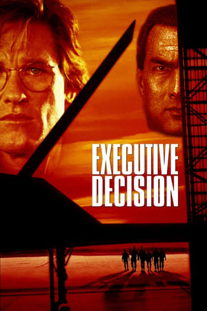 Executive Decision (1996) Hindi Dual Audio BluRay [1GB]