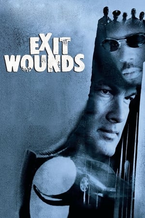 Exit Wounds (2001) Hindi Dual Audio BluRay 300MB