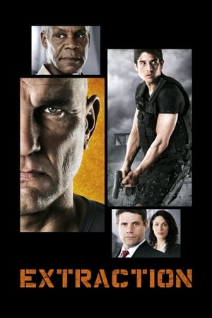 Extraction 2013 Hindi Dual Audio WebRip 330MB